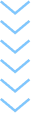 Vector (24)